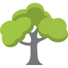 Lawrenceville Tree Removal
