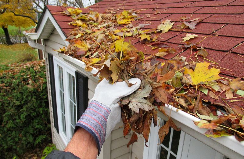 Benefits of Regular Leaf Removal